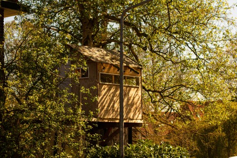 Boomhut