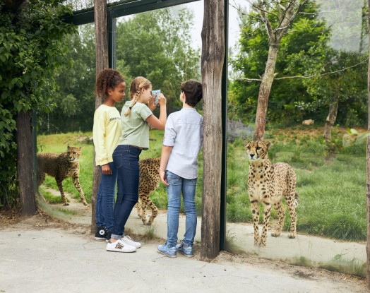 dierenrijk-familie-glas.jpg