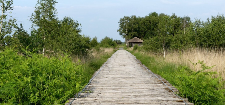 Knuppelbrug1-min.JPG