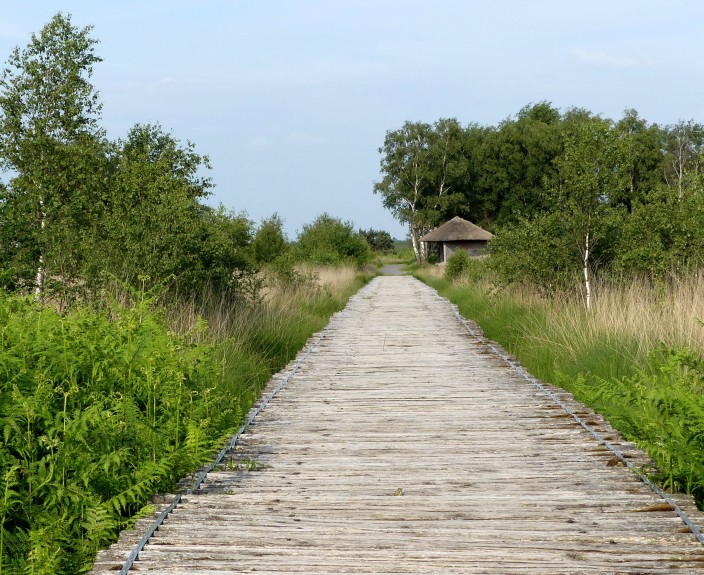 Knuppelbrug1-min.JPG
