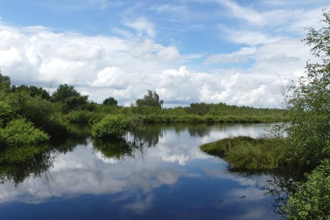 Meerbaansblaak-min.JPG