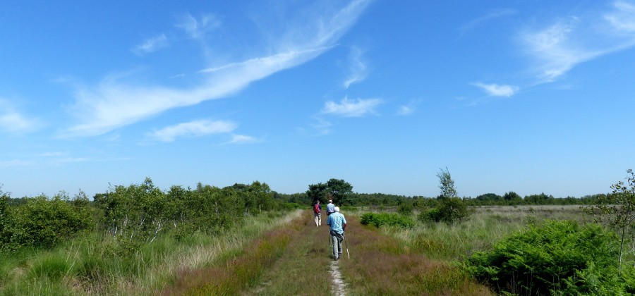 Wandelaars Peelbaan2-min.JPG