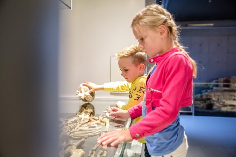 Neanderthalet tot stedeling - skelet 3-min.jpg