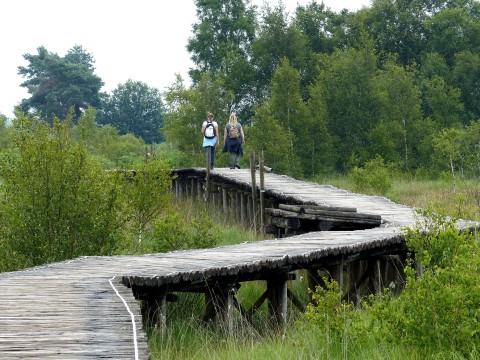 Knuppelbrug3-min.JPG